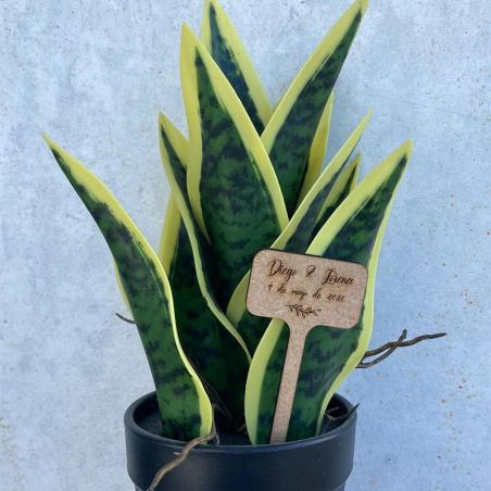 Marcador de plantas en madera personalizado