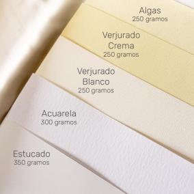 Minuta Floral Disney 2
