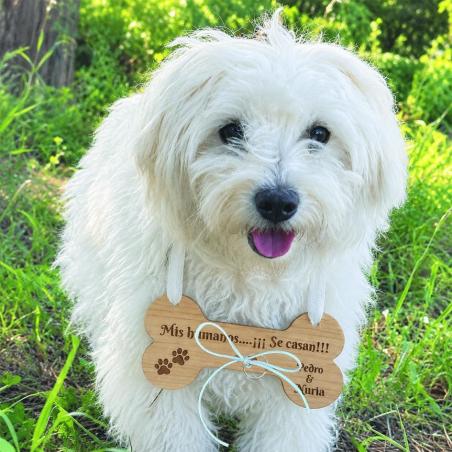 Cartel para Perros Grabado