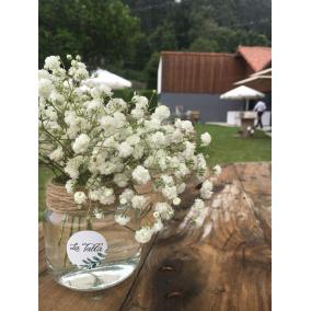 Adhesivos Olivo Personalizados 2