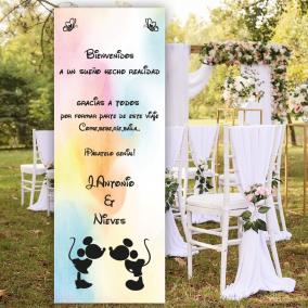 Banner Disney Colores